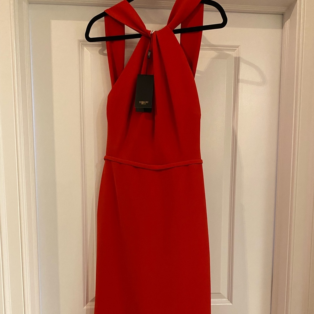 Terani Couture red dress